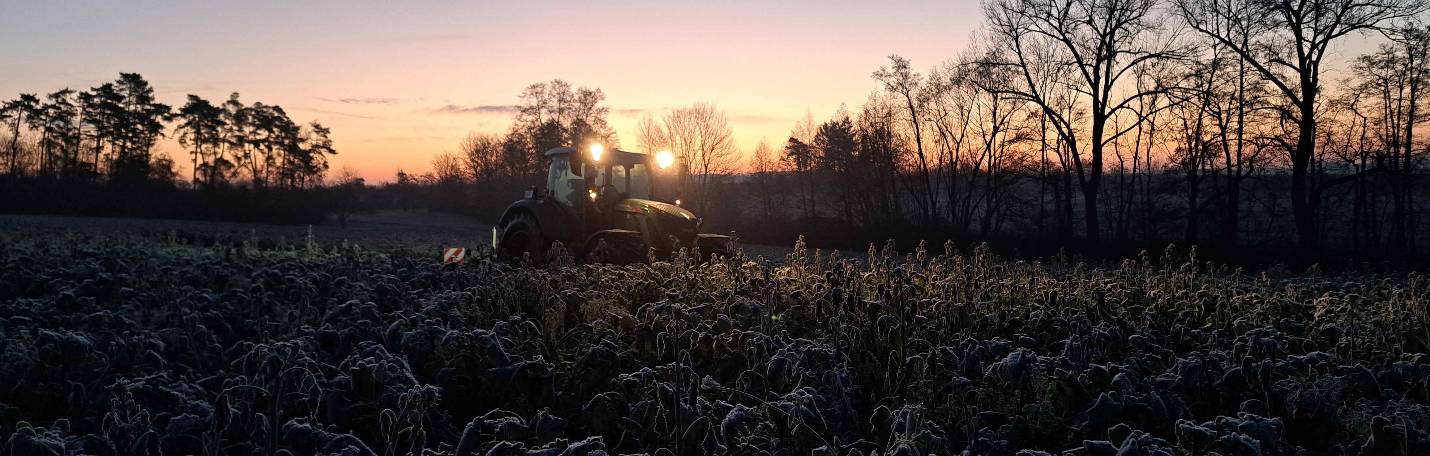 Traktor bei Frost auf freiem Feld mit einer Messerwalze. Exakte GPS-Fahrspuren.