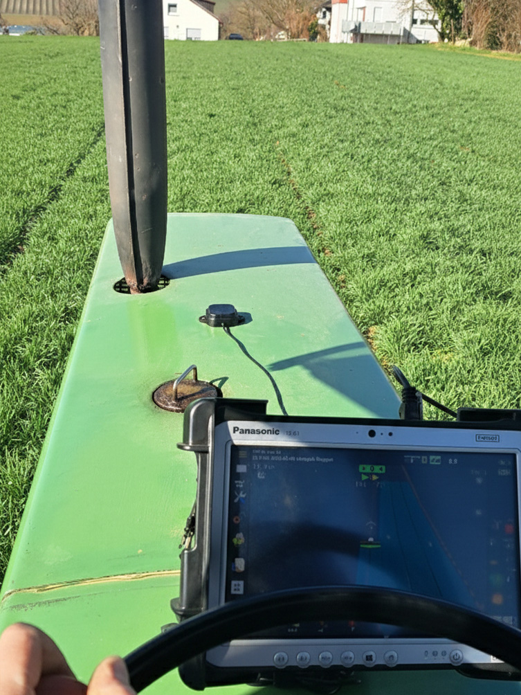 Einsteigerset beim Weizen striegeln