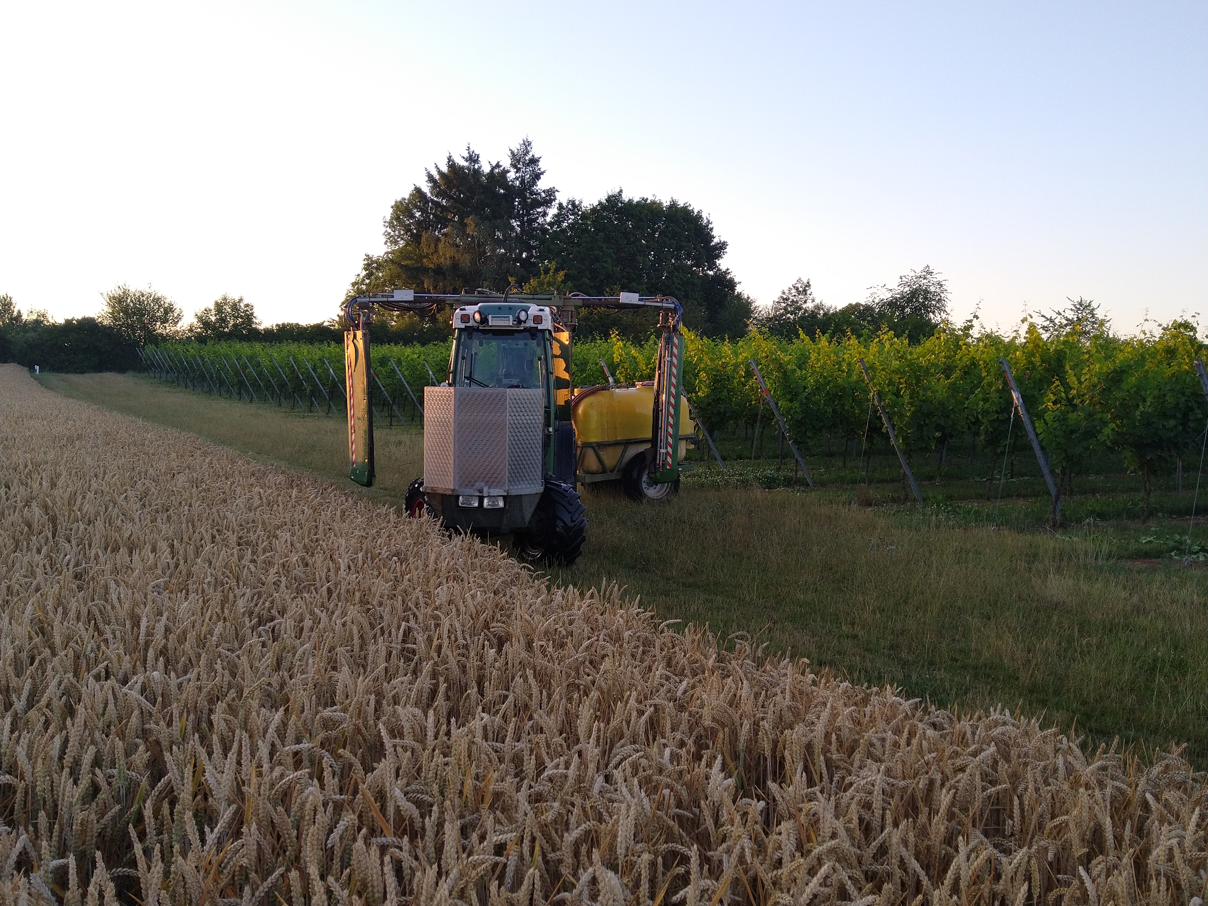 Spritzensteuerung im Weinbau Einsatz